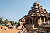 Mamallapuram - Tamil Nadu. The five Rathas. The Dharmaraja Ratha. 